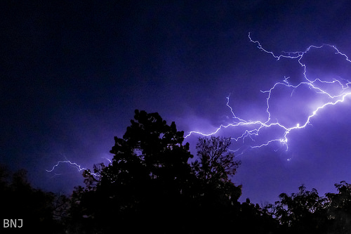 30089631345_8595c21fc5